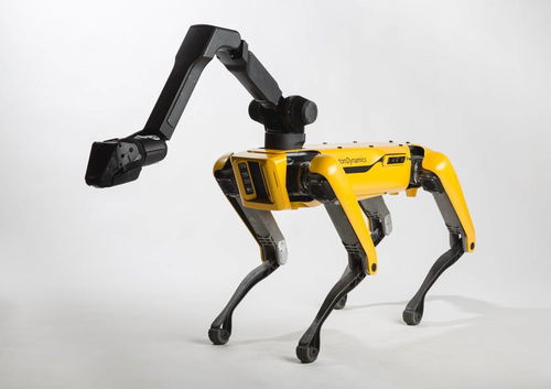 刷爆朋友圈的波士顿机器人明年开卖,机器狗开撸
